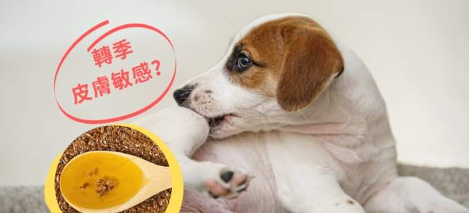 狗狗可以吃芥花油嗎