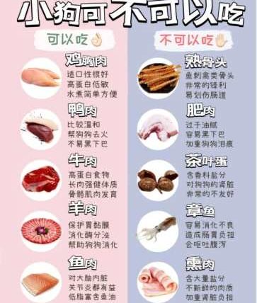 狗狗不能吃什麼肉