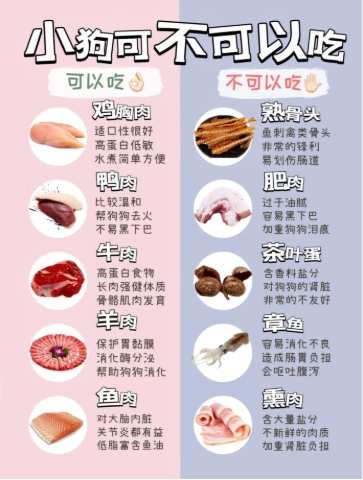 狗狗不能吃什麼肉？完整指南與危險肉類清單