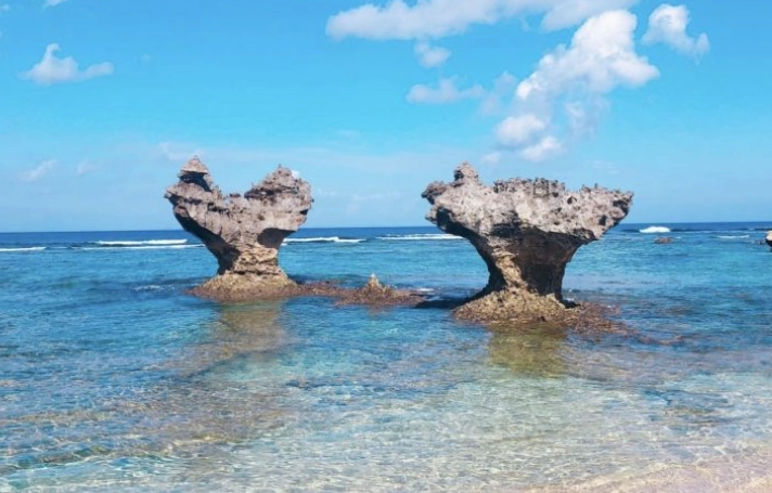 江之島周遊券完整攻略：交通、景點、優惠一次搞定