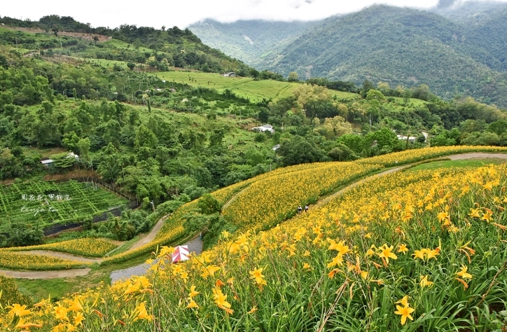 花東旅遊行程規劃 花東旅遊行程規劃