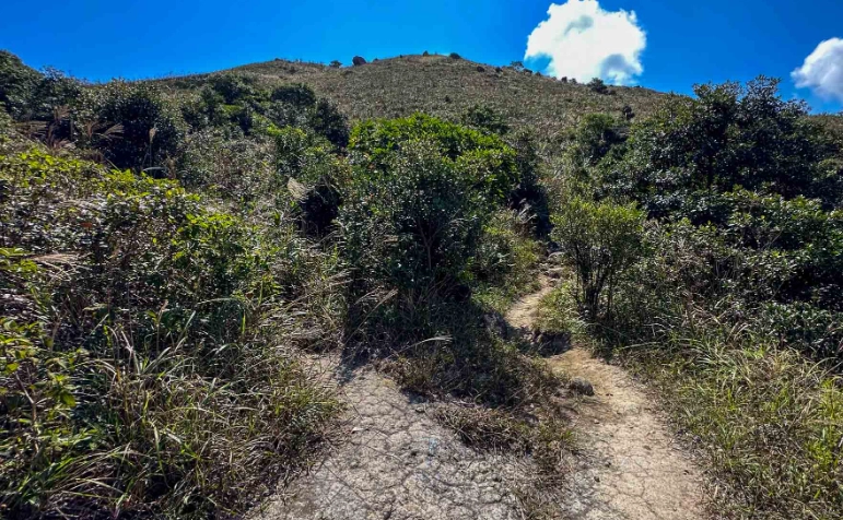 蓮花山公園健行