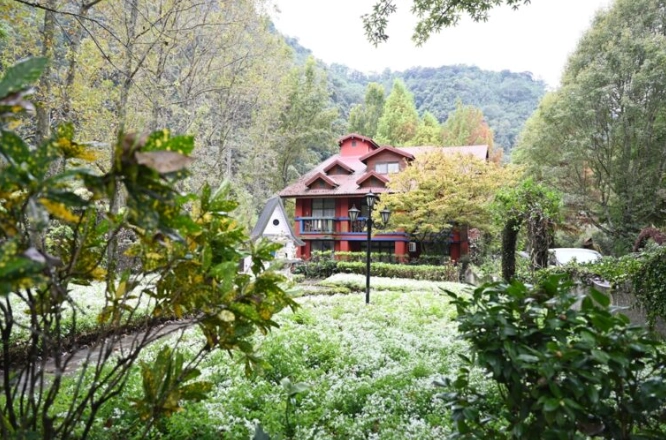 清境農場親子 清境農場親子