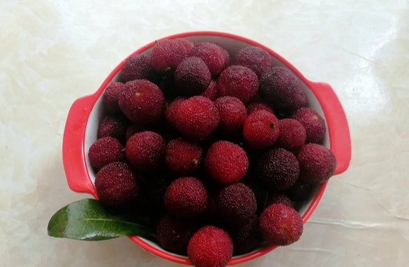 楊梅食譜 楊梅食譜