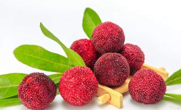 楊梅吃法 楊梅吃法