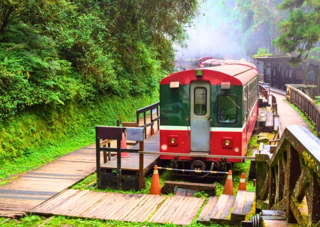 阿里山自由行攻略 阿里山自由行攻略