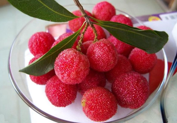 楊梅食譜 楊梅食譜