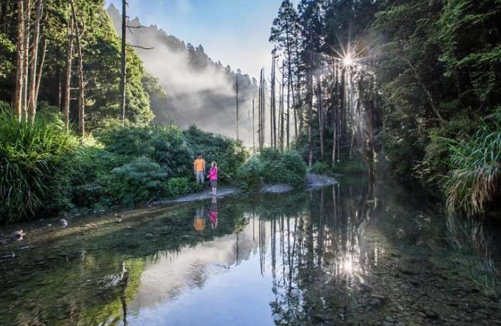阿里山秘境 阿里山秘境