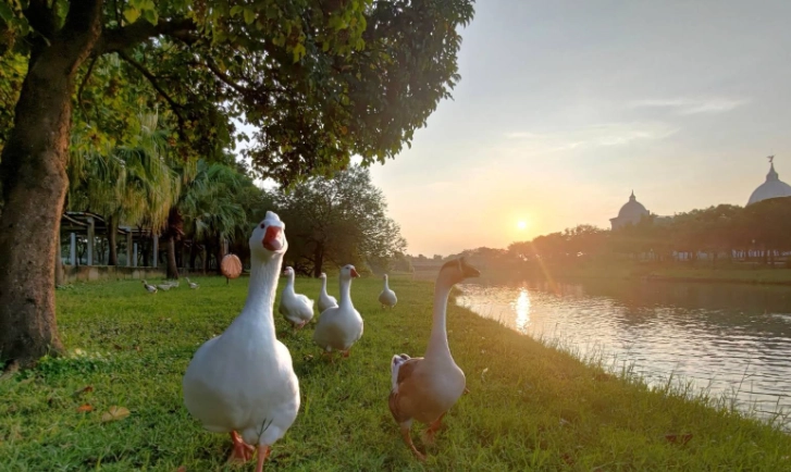 台南無車旅遊 台南無車旅遊