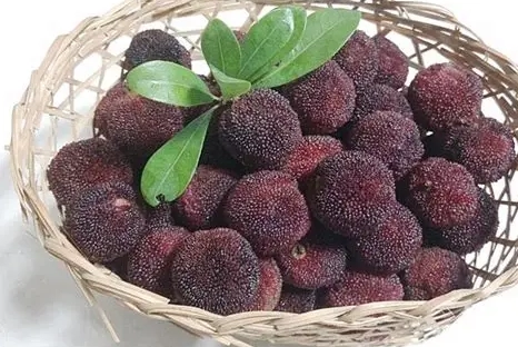 楊梅吃法 楊梅吃法