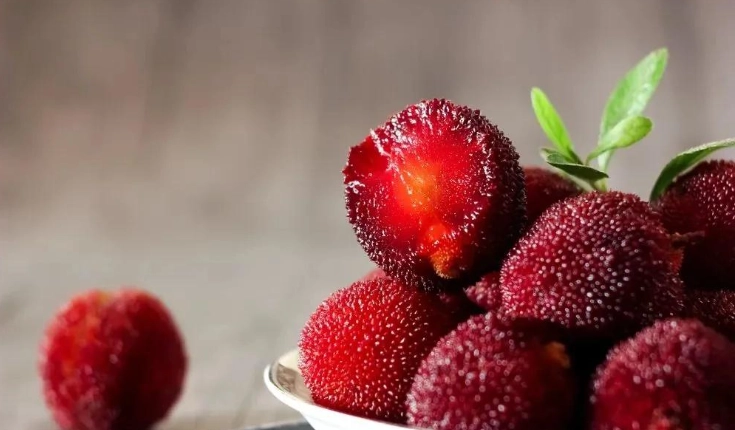 楊梅食譜 楊梅食譜