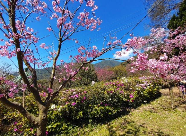 台南無車旅遊 台南無車旅遊