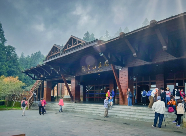 阿里山不開車交通 阿里山不開車交通