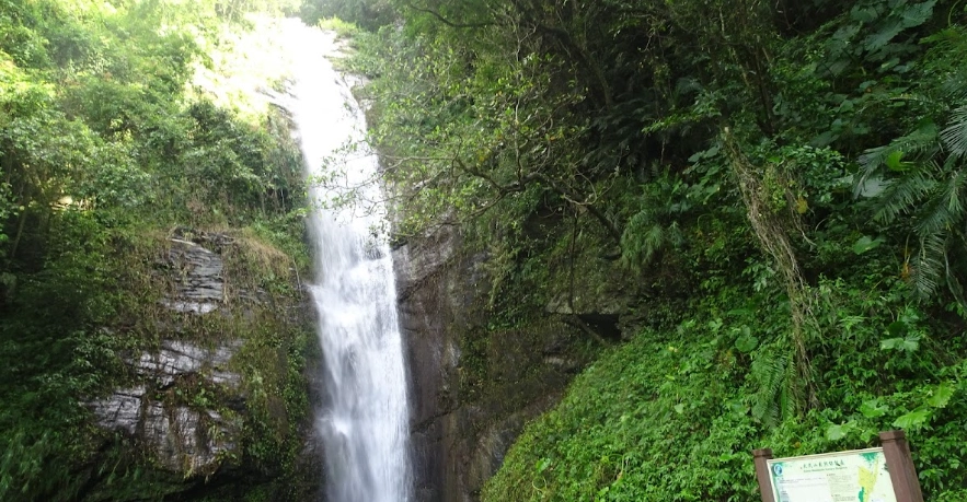 台東知本林道步道 台東知本林道步道