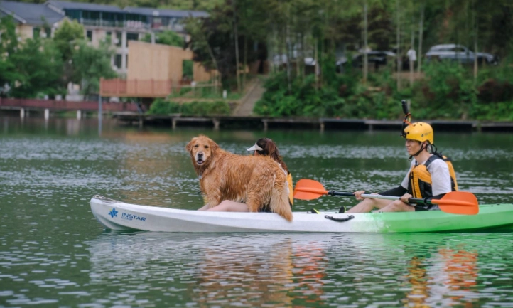 帶狗玩水注意事項
