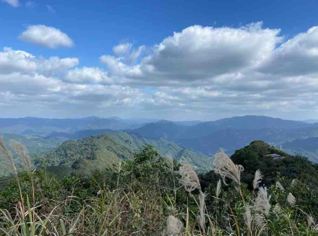 陽明山東西大縱走