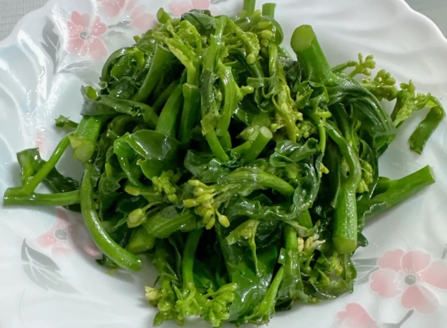 狗吃芥蘭菜 狗吃芥蘭菜