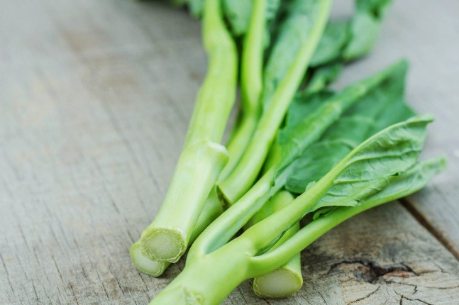 狗吃芥蘭菜 狗吃芥蘭菜