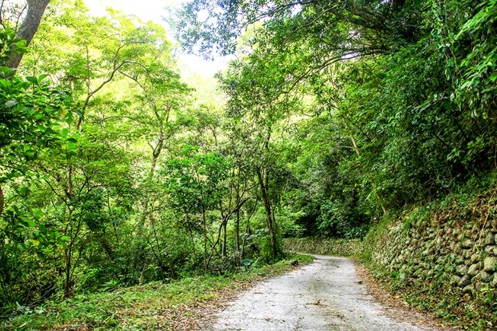 知本瀑布怎麼去 知本瀑布怎麼去