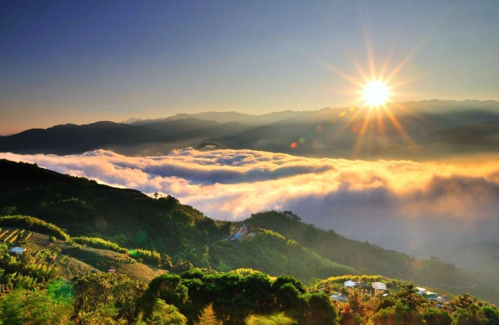 阿里山觀日列車 阿里山觀日列車