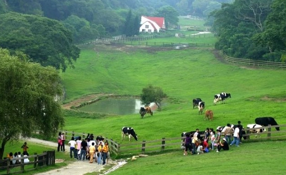 適合長輩的苗栗旅遊