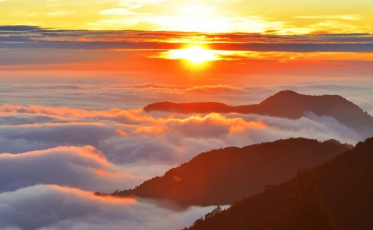 阿里山觀日列車 阿里山觀日列車