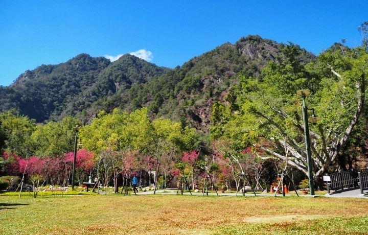 八仙山森林遊樂區 八仙山森林遊樂區
