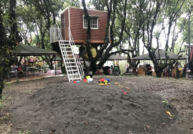 紅螞蟻生態世界