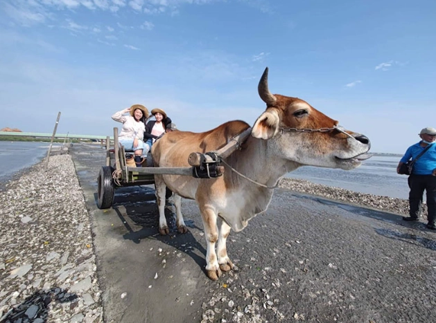 彰化傳統文化體驗