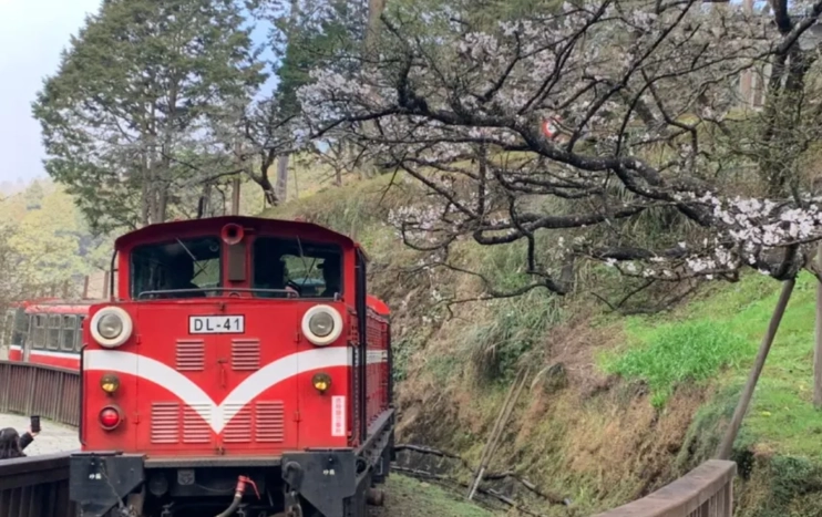 南部適合小孩的景點