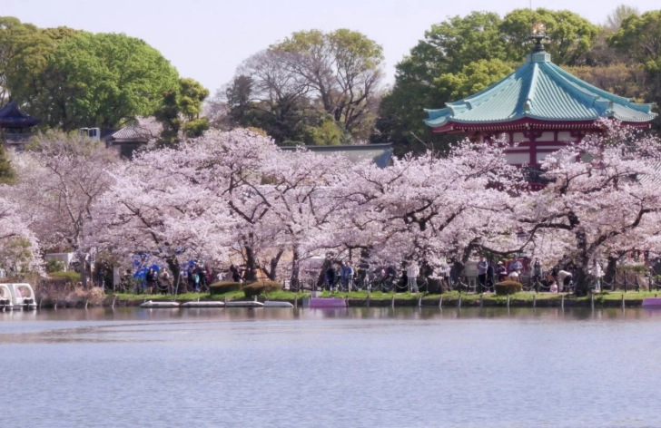 上野夜景 上野夜景