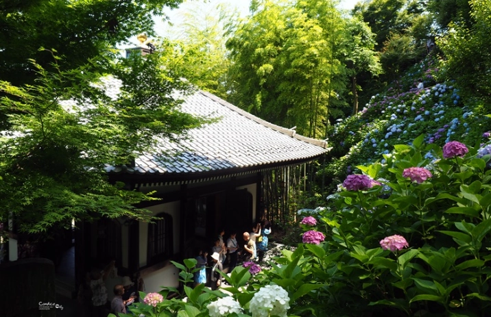 鎌倉自由行攻略