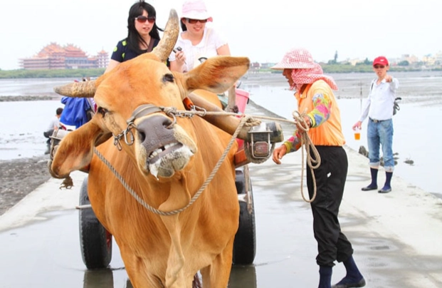 彰化傳統文化體驗