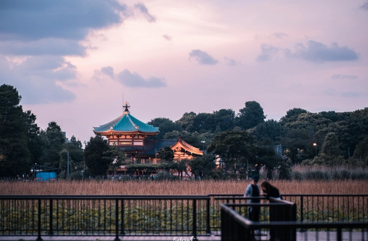 上野夜間活動 上野夜間活動