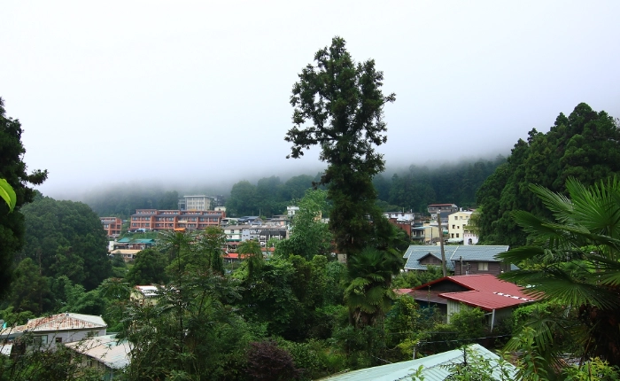 奮起湖 停車 奮起湖 停車