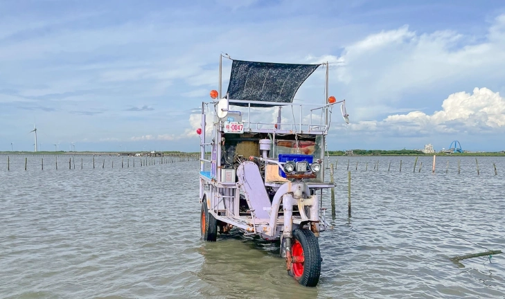 王功採蚵車體驗