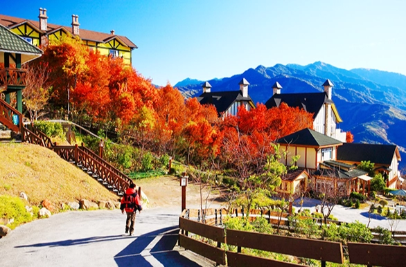 清境農場一日遊