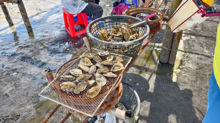 王功漁港 潮間帶