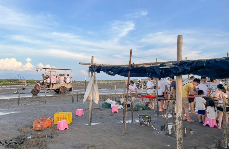 王功採蚵車體驗