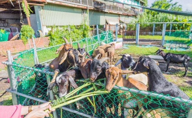 宜蘭農場一日遊