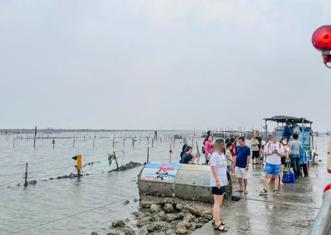 芳苑採蚵車