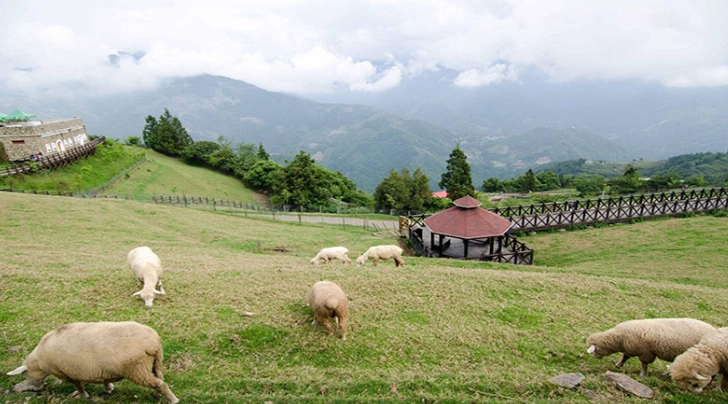 清境日月潭交通