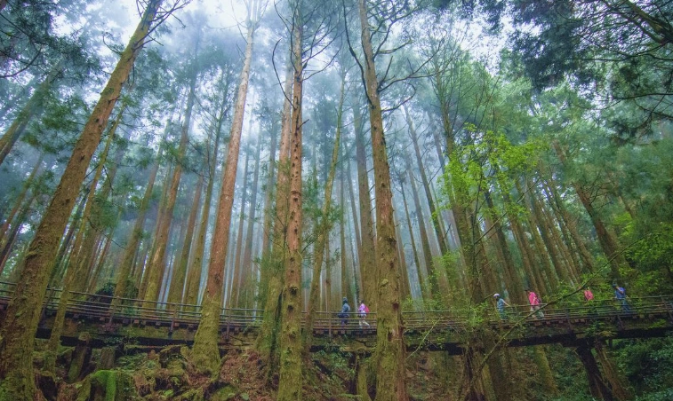特富野古道 寵物友善