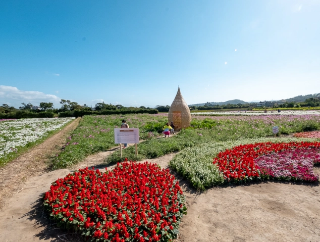 楊梅一日遊拍照