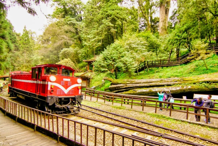 阿里山開車行程