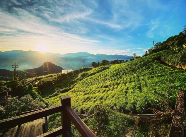 阿里山森林遊樂區寵物