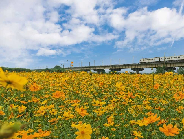 屏東舊鐵橋 交通