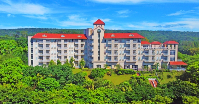 西湖渡假村桐花