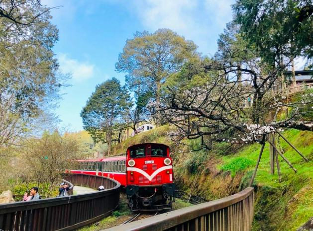 阿里山森林遊樂區開車