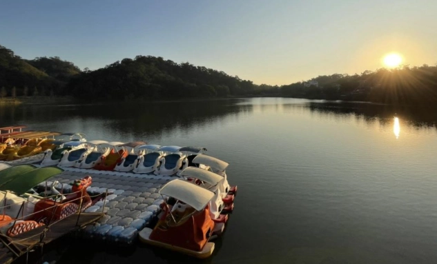 西湖渡假村桐花